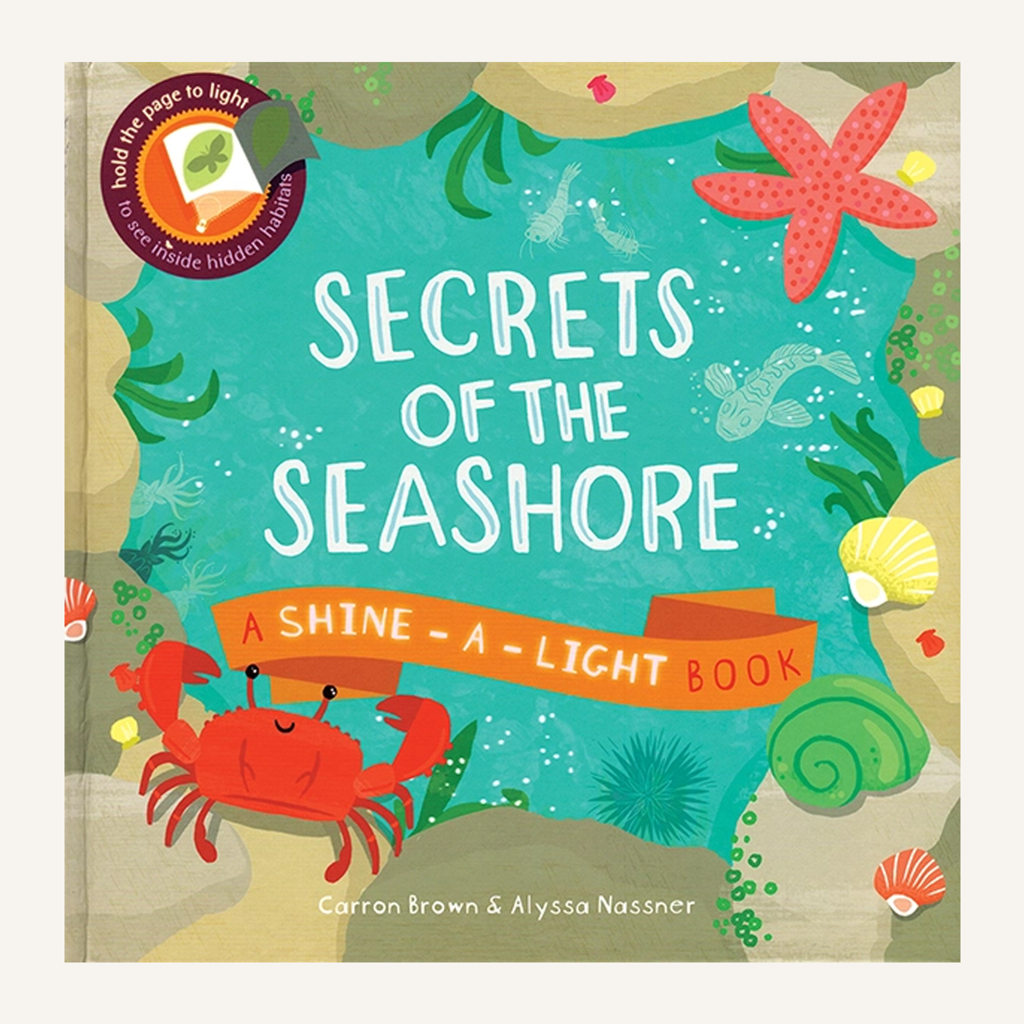 Secrets of the Seashore: A Shine-the-Light Book