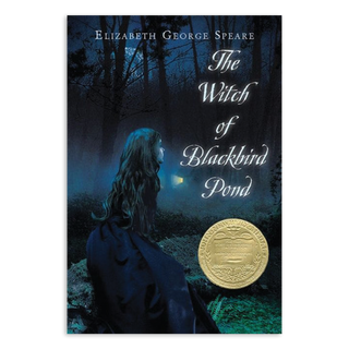 The Witch of Blackbird Pond